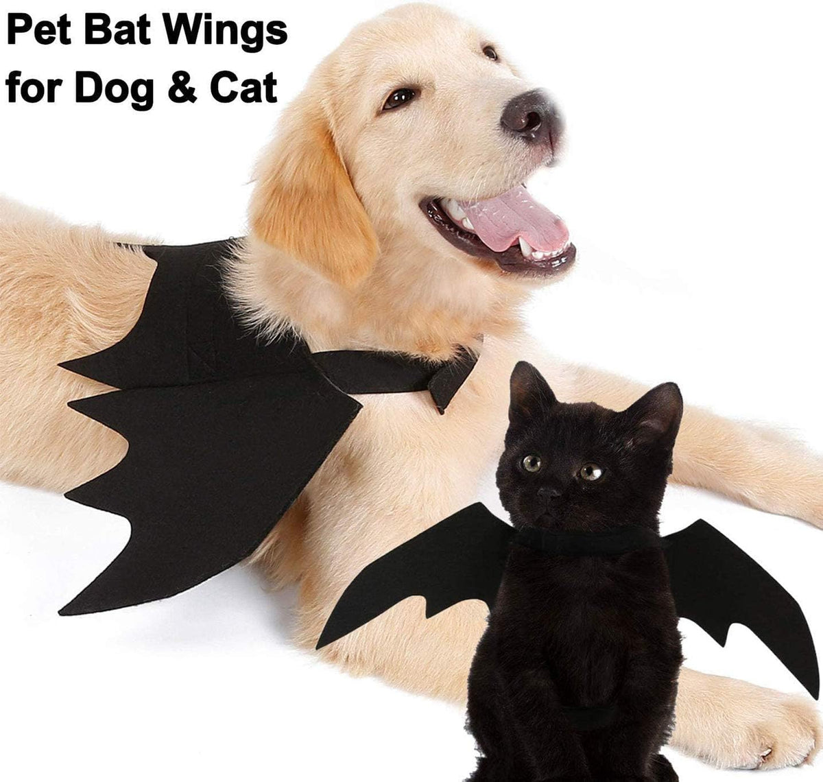 Bat Wings Dog Costume, Black, Small, Adjustable Halloween Pet Costume