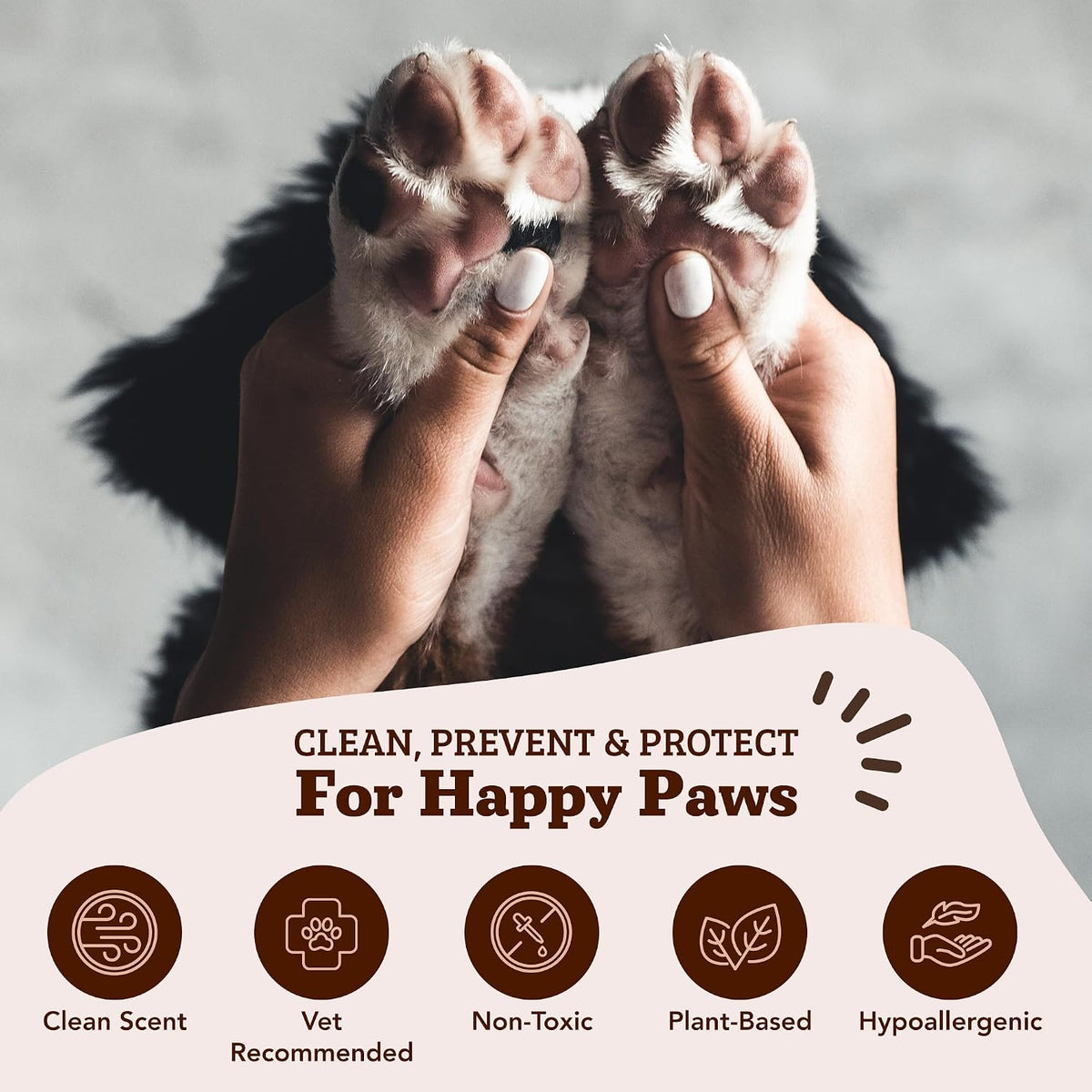 Natural Dog Paw Wipes - 50 Ct