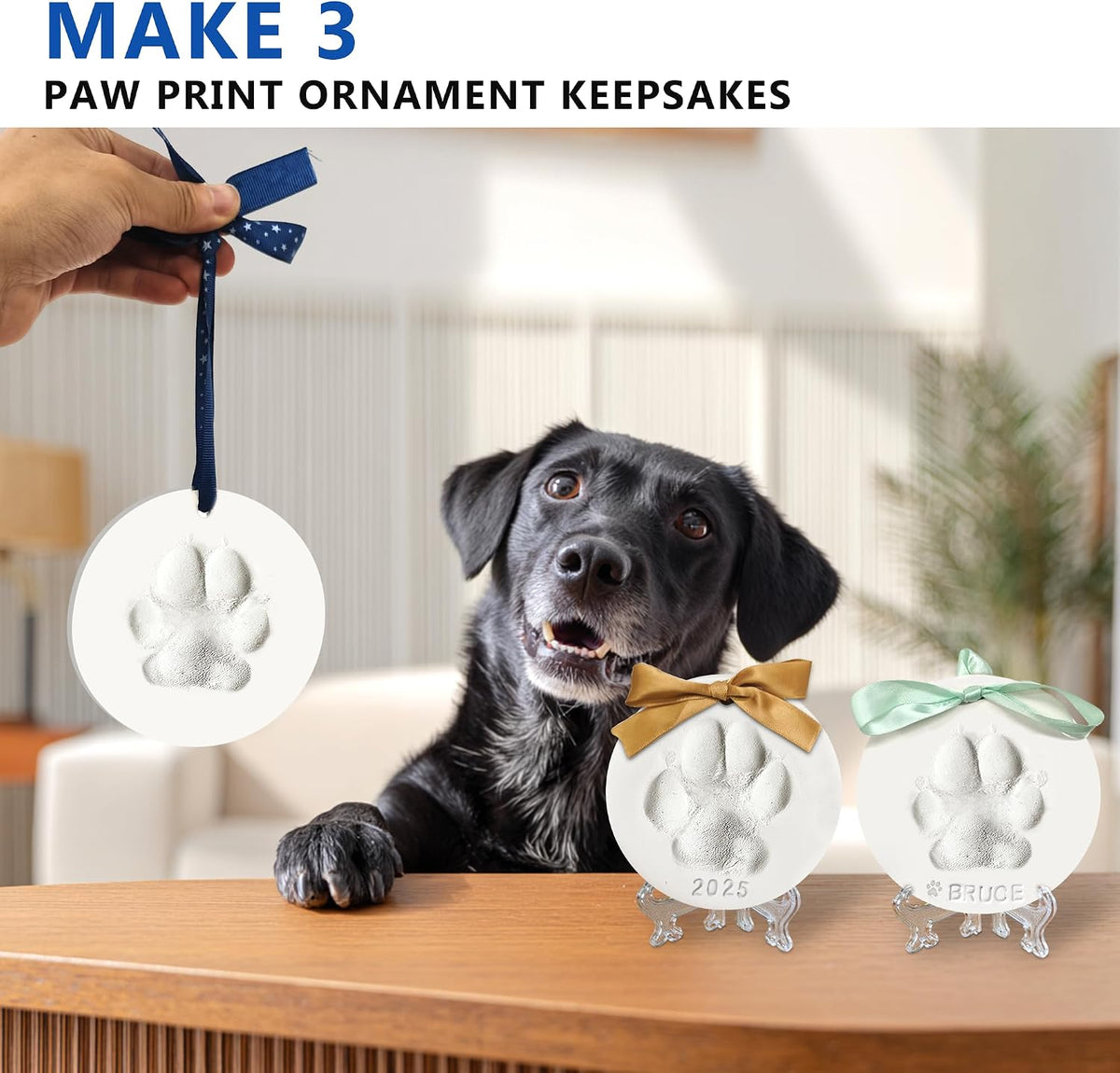 Dog Cat Pawprints Keepsake Kit,3 Round,Clay Paw Print Ornaments