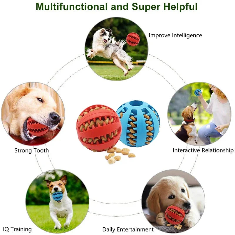 Interactive Rubber Dog Ball Toy for Small Dogs - Chew, Clean, and Play!
