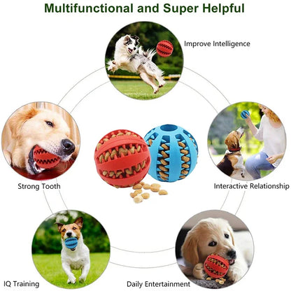 Interactive Rubber Dog Ball Toy for Small Dogs - Chew, Clean, and Play!