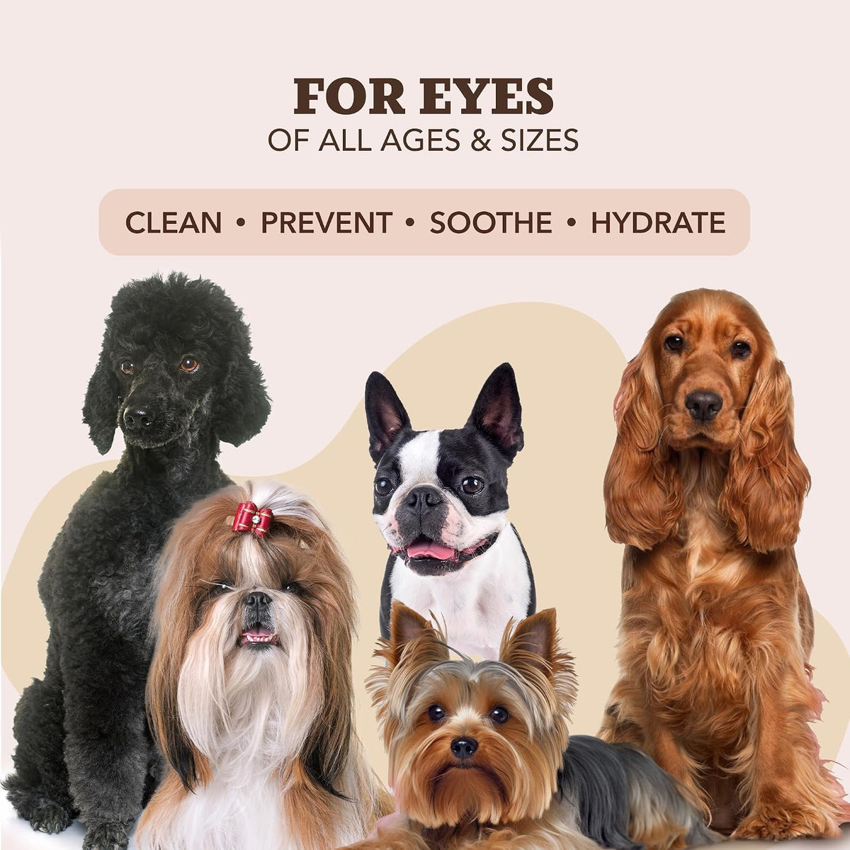 Natural Dog Paw Wipes - 50 Ct
