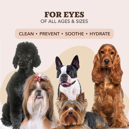 Natural Dog Paw Wipes - 50 Ct