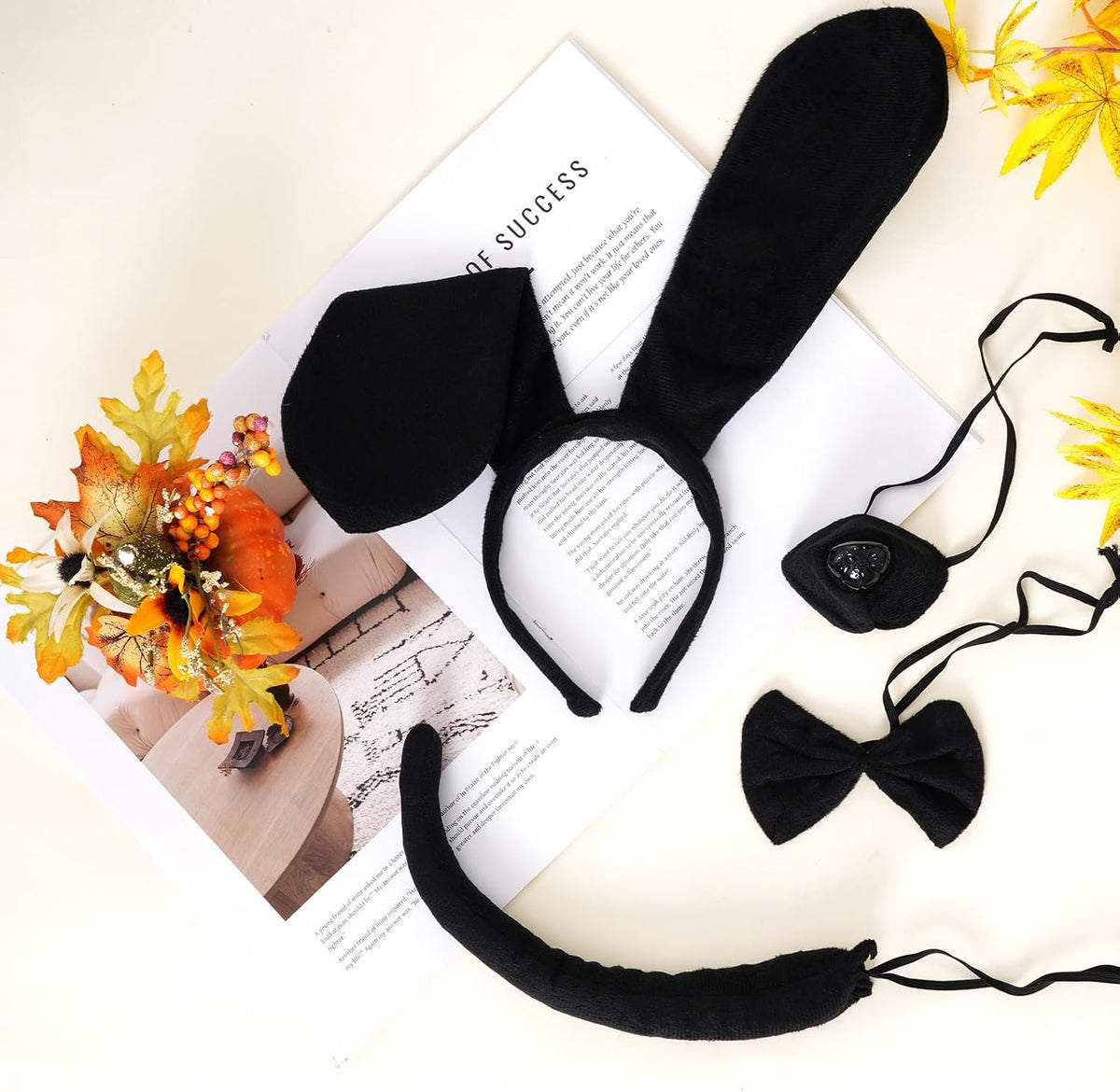 Puppy Dog Costume Set for Adults, Ears, Nose, Tail and Bow Tie
