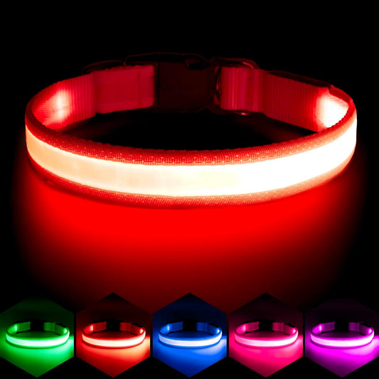 Rechargeable LED Dog Collar for Small Dogs, Red, USB Light-Up
