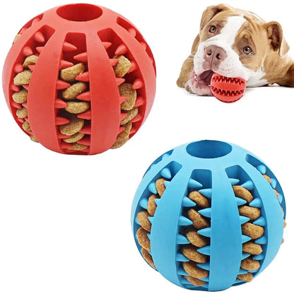 Interactive Rubber Dog Ball Toy for Small Dogs - Chew, Clean, and Play!