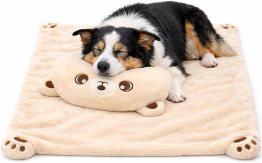 Cozy Bear Dog Pillow and Blanket Set for Small and Medium Dogs and Cats