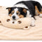 Cozy Bear Dog Pillow and Blanket Set for Small and Medium Dogs and Cats