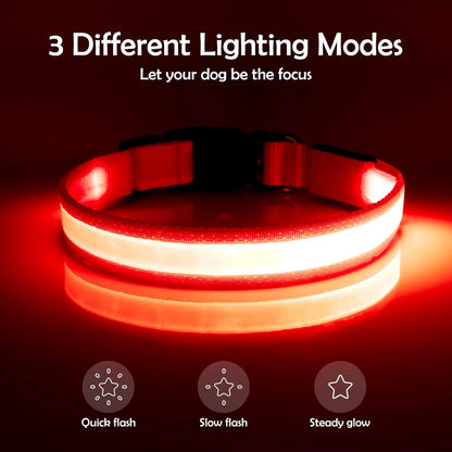 Rechargeable LED Dog Collar for Small Dogs, Red, USB Light-Up