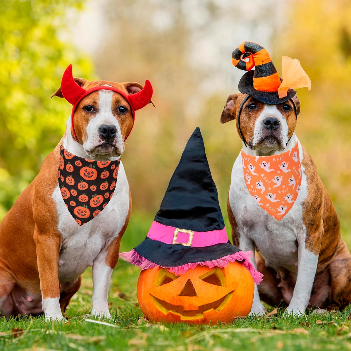 4-Pack Halloween Dog Bandanas, Large, Pumpkin, Ghost and Skeleton Prints