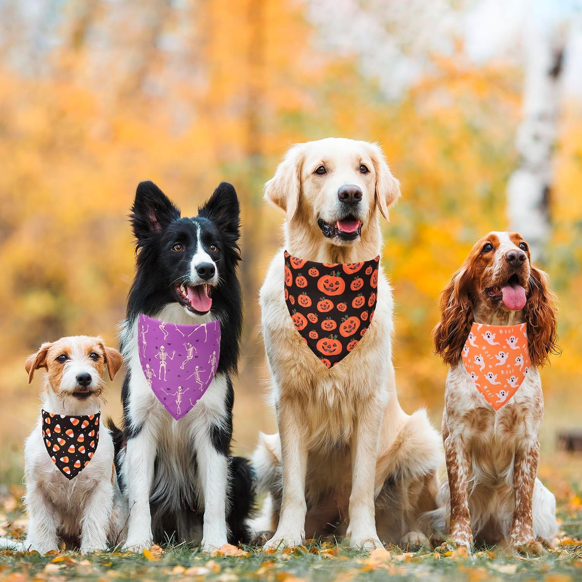 4-Pack Halloween Dog Bandanas, Large, Pumpkin, Ghost and Skeleton Prints
