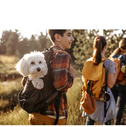 A family and their dog enjoying a hike together