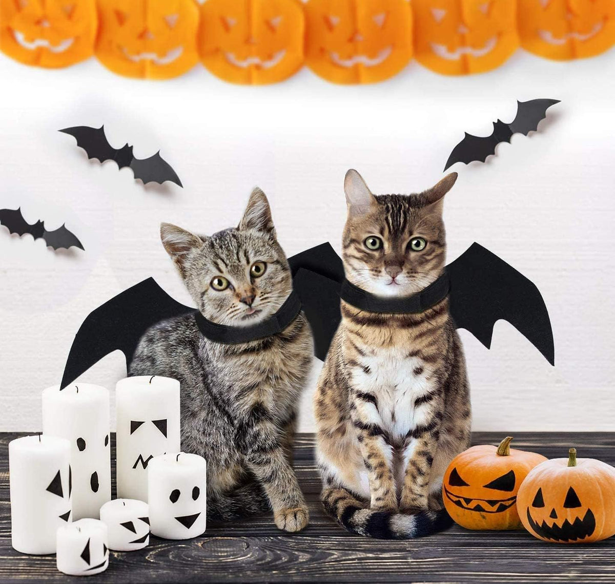 Bat Wings Dog Costume, Black, Small, Adjustable Halloween Pet Costume