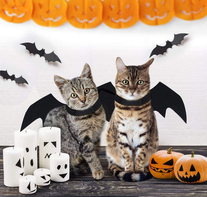 Bat Wings Dog Costume, Black, Small, Adjustable Halloween Pet Costume
